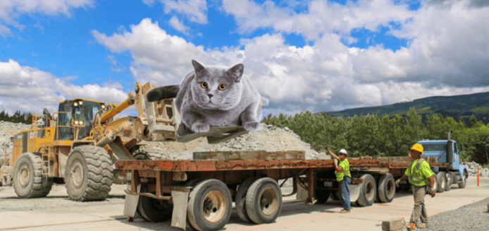 Loader and Giant Cat