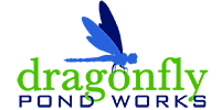 dragonfly pond-works